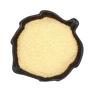 Gelatine Wholesale Price Bovine Gelatin Food Grade Gelatine Powder for Yogurt Jelly Icecream Gummy Marshmallow 250 Bloom